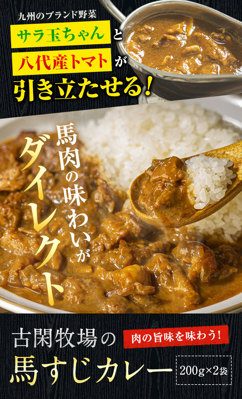 【肉の旨味を味わう！お肉の比率約50％！】古閑牧場の馬すじカレー 200g×2袋 レトルト食品 惣菜 パック インスタント 馬肉 お取り寄せ ご自宅用 送料無料