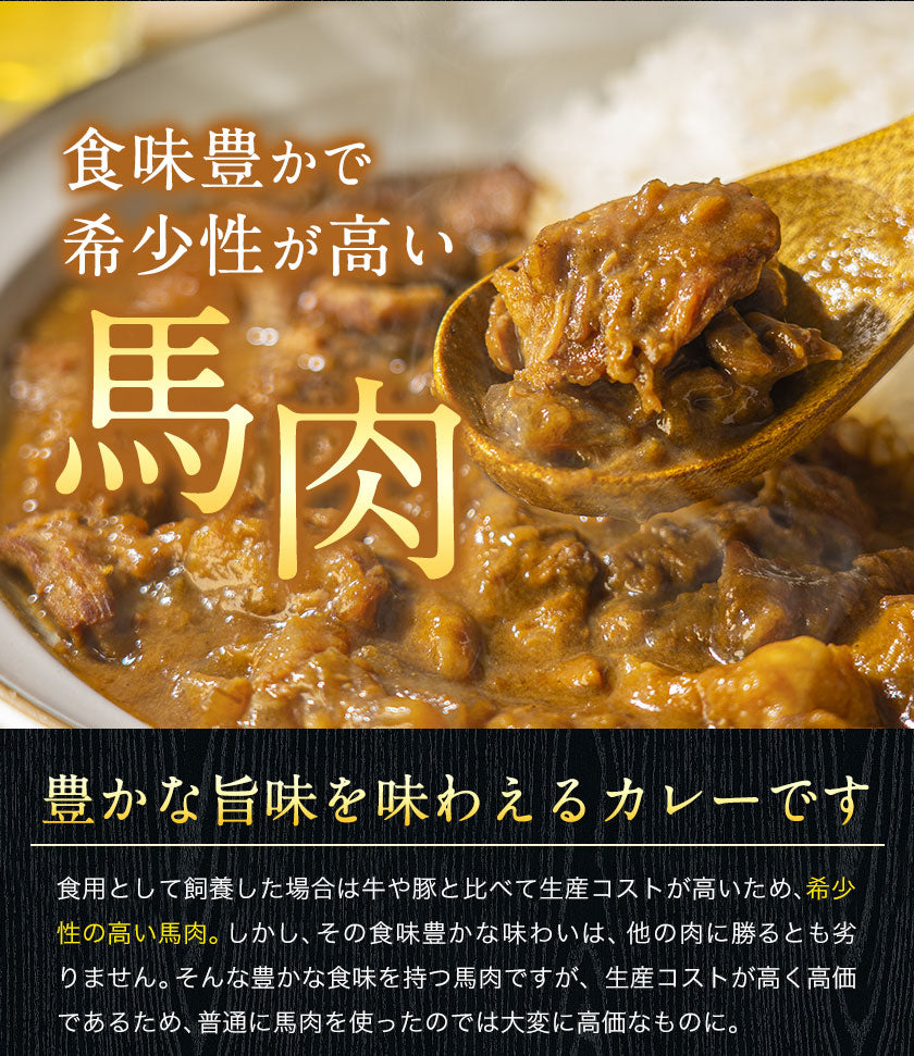 【肉の旨味を味わう！お肉の比率約50％！】古閑牧場の馬すじカレー 200g×2袋