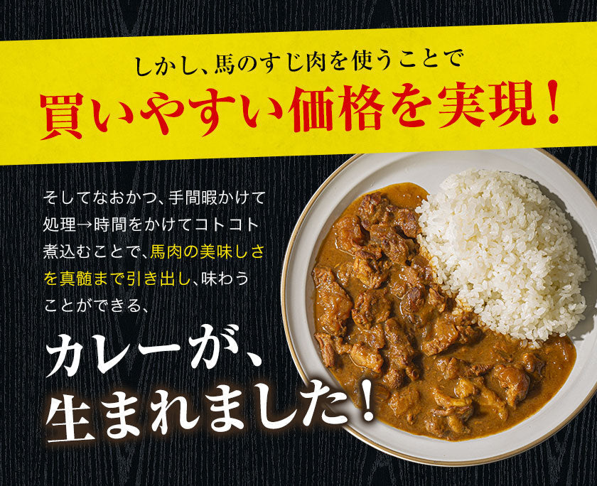 【肉の旨味を味わう！お肉の比率約50％！】古閑牧場の馬すじカレー 200g×2袋 レトルト食品 惣菜 パック インスタント 馬肉 お取り寄せ ご自宅用 送料無料