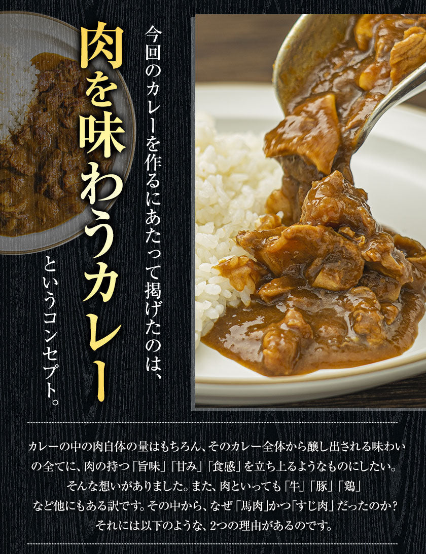 【肉の旨味を味わう！お肉の比率約50％！】古閑牧場の馬すじカレー 200g×2袋 レトルト食品 惣菜 パック インスタント 馬肉 お取り寄せ ご自宅用 送料無料