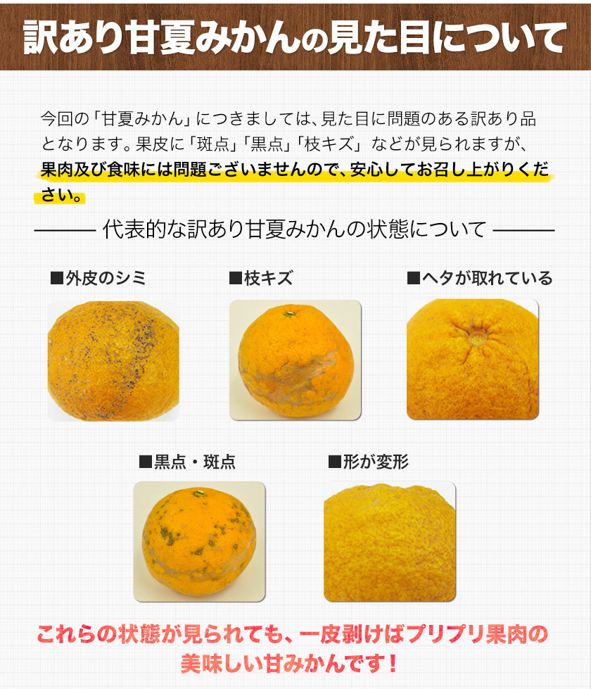 甘夏 みかん 1.5kg  送料無料 訳あり 熊本県産 名産地 旬のみかん
