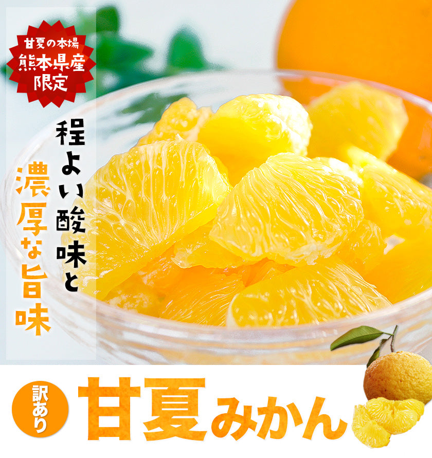 甘夏 みかん 1.5kg  送料無料 訳あり 熊本県産 名産地 旬のみかん