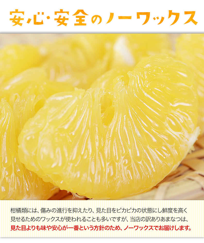 甘夏 みかん 1.5kg  送料無料 訳あり 熊本県産 名産地 旬のみかん