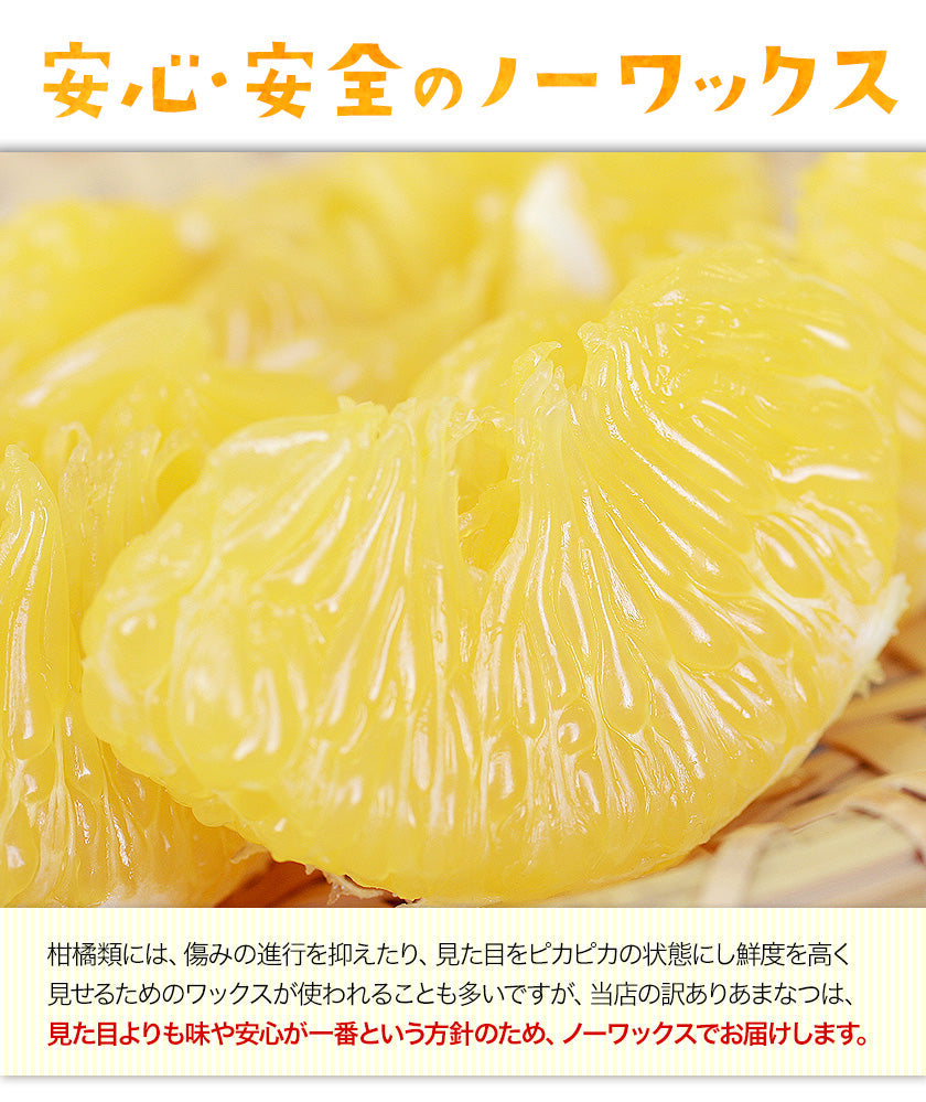 【50人シェア買い企画】会甘夏 みかん 4kg  送料無料 訳あり 熊本県産 名産地 旬のみかん