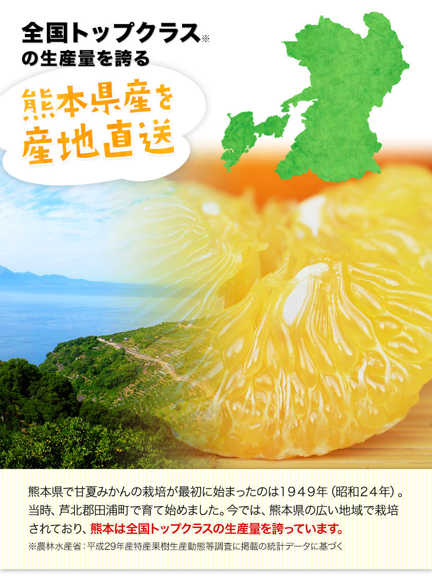 【50人シェア買い企画】会甘夏 みかん 4kg  送料無料 訳あり 熊本県産 名産地 旬のみかん