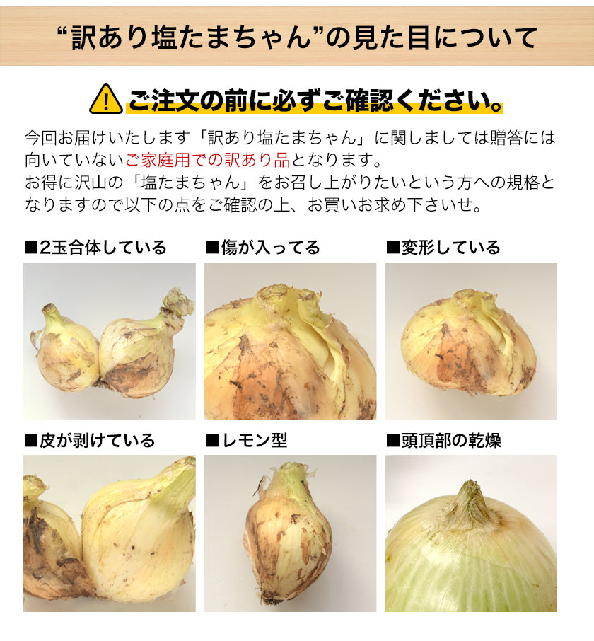 熊本県産 訳あり 塩たまちゃん 玉ねぎ たまねぎ 5kg 【5L-2Sサイズ不選別】 子出藤 (ねでふじ)