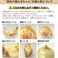 熊本県産 訳あり 塩たまちゃん 玉ねぎ たまねぎ 10kg 【5L-2Sサイズ不選別】 子出藤 (ねでふじ)