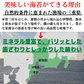 三重県 伊勢湾産 黒海苔 全型50枚 令和5年度  チャック付袋送料無料