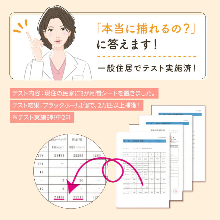 ダニ捕りパック【ブラックホール®】　2個入【ゲリラセール】
