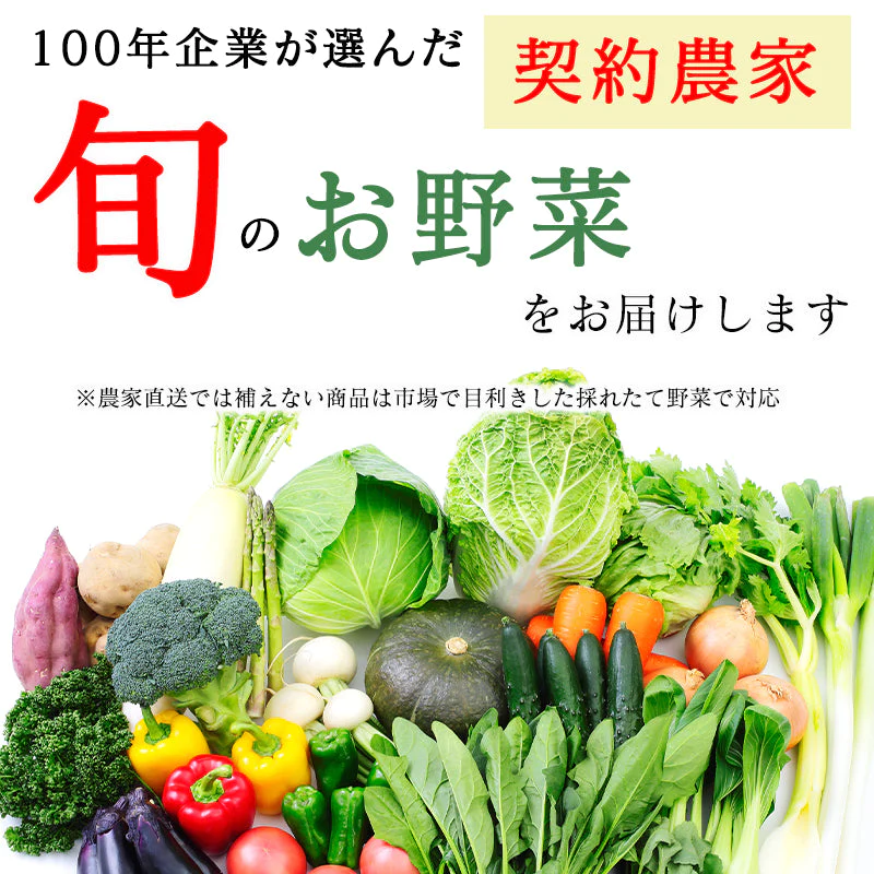 【完売御礼】野菜 おまかせ 15種類 詰め合わせ　送料無料【超シェア買い祭】