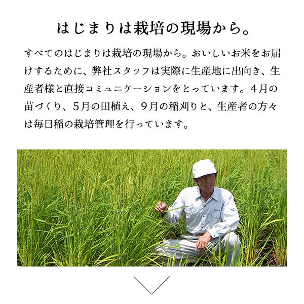 【5人シェア買いで5%OFF】米 10kg 山形産はえぬき 令和3年産 お米 10キロ（本州：送料無料）