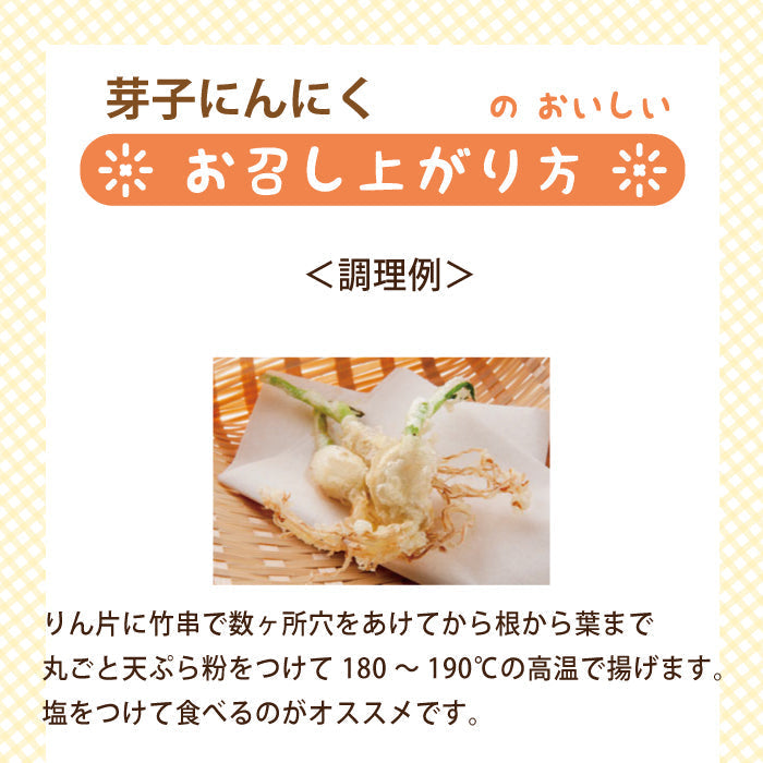 芽子にんにく 10個入り×6袋 * (クール便)