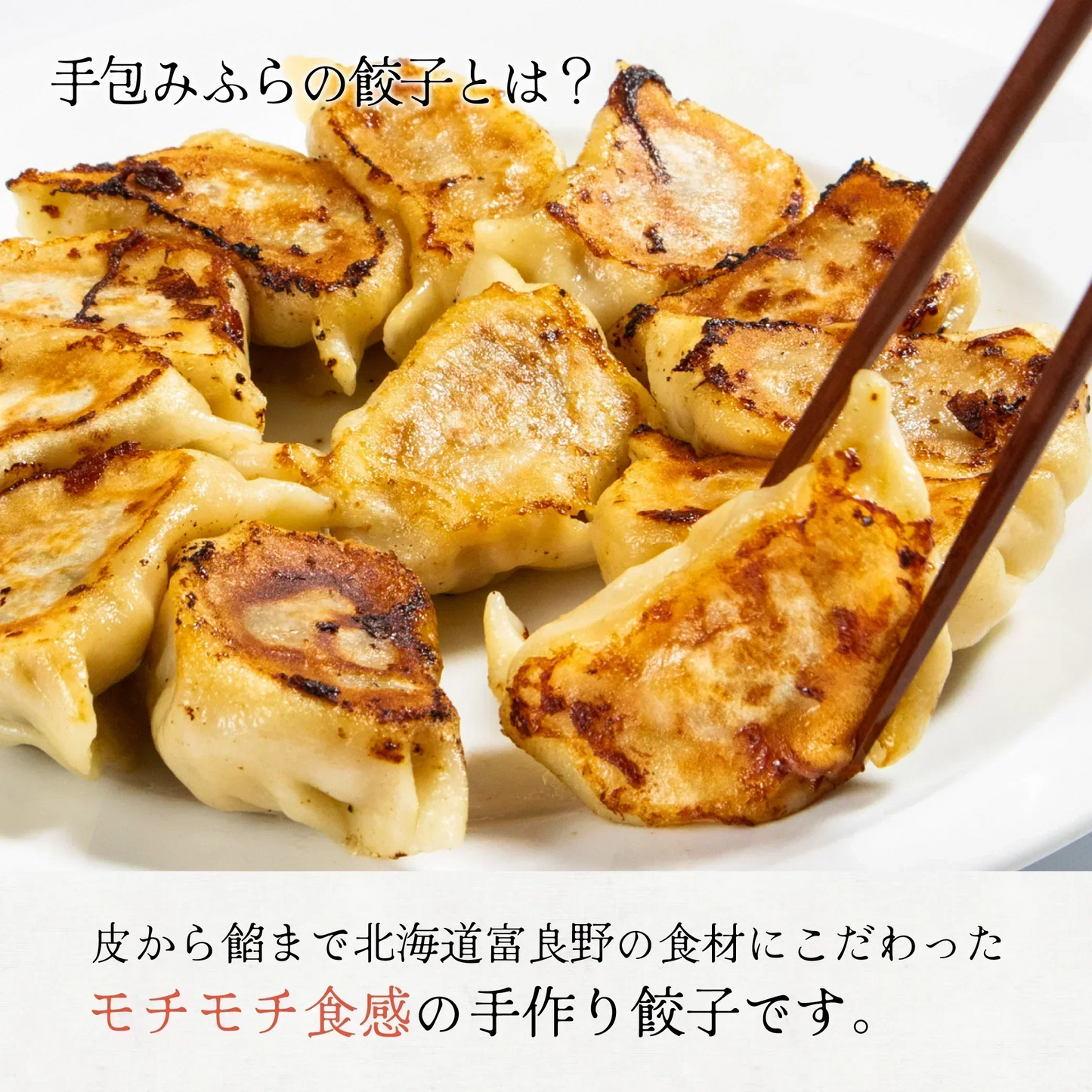 【ジャンボサイズ！】北海道手包みふらの餃子（880g（20個入）送料無料 / 肉 / 玉ねぎ / タマネギ / たまねぎ / 玉葱 / ジャガイモ / じゃがいも / 野菜 / ワイン / 送料無料 / ご飯 / ごはん / おかず / 【特産品・ご当地特集】