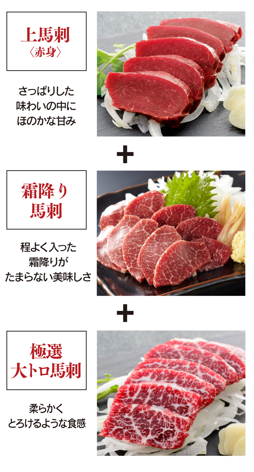 熊本新鮮馬刺し おもてなし「松」セット