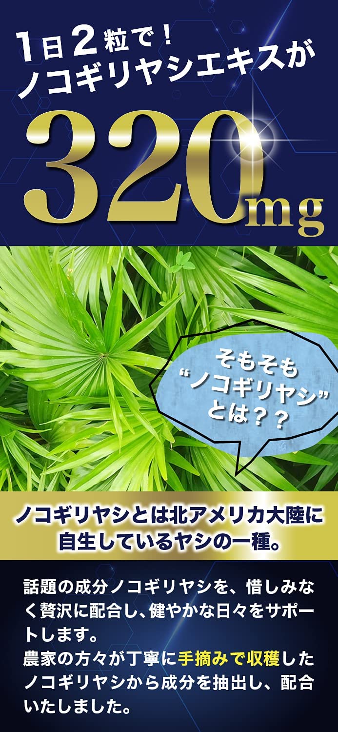メンズ　ノコギリヤシサプリメント　健康食　高純度　60粒（30日分）　REGNOS（レグノス）男性用