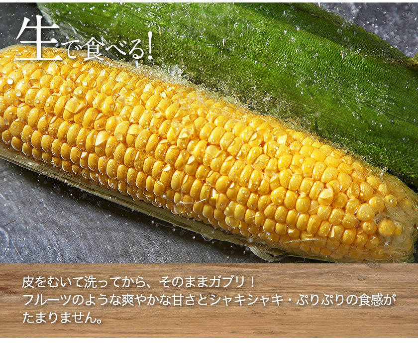 日本最速級6月中出荷 とうもろこし ゴールドラッシュ 7本入り (3L~L サイズ)  コーン 朝採り 生で食べられる スイートコーン お取り寄せ お取り寄せグルメ