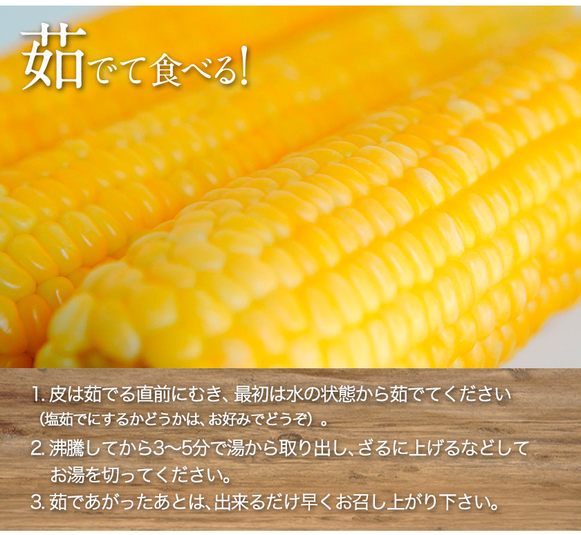 日本最速級6月中出荷 とうもろこし ゴールドラッシュ 7本入り (3L~L サイズ)
