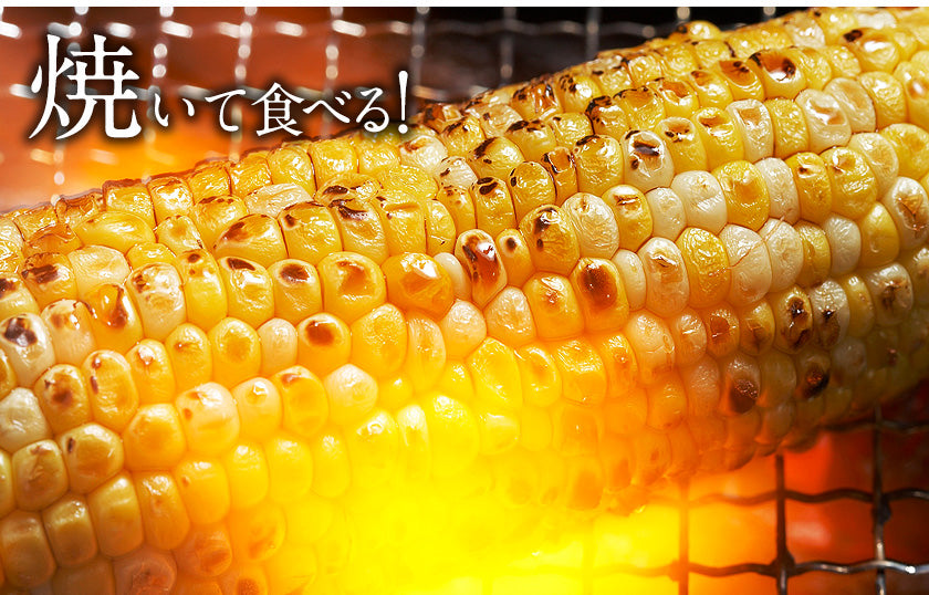 日本最速級6月中出荷 とうもろこし ゴールドラッシュ 7本入り (3L~L サイズ)