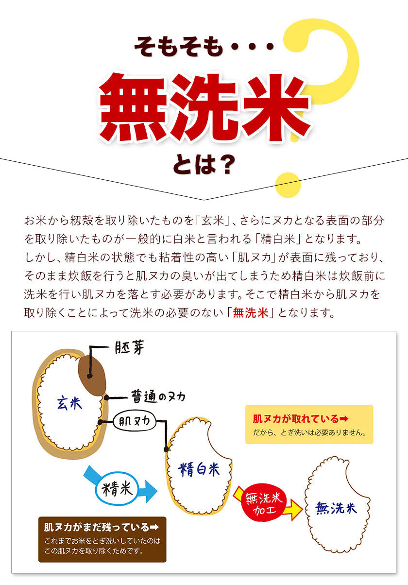 無洗米 10kg (5kg ×2袋)  熊本県産 令和3年産 ひのひかり 7割使用