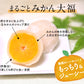 9個入り  まるごと みかん 大福