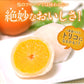 【30人シェア買い企画】和菓子 高級 ギフト お取り寄せ まるごと みかん 大福 9個 送料無料