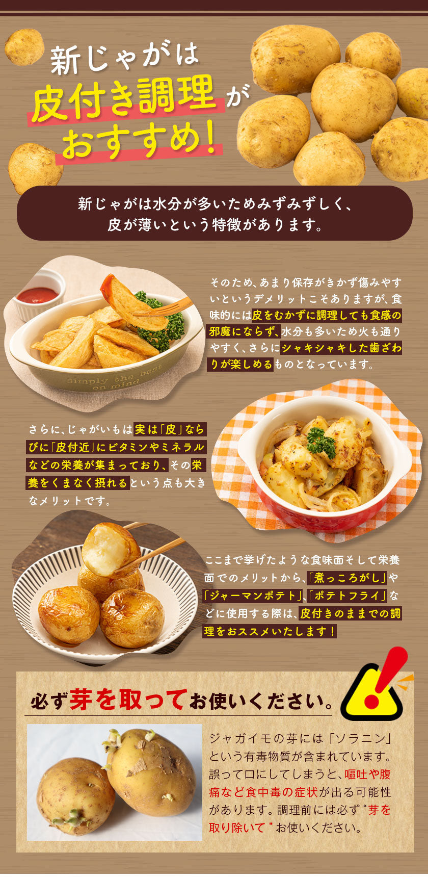 中園ファームのじゃがいも 新じゃが (馬鈴薯) 訳あり 4.5kg (M～2Lサイズ混合) 種子島産 ジャガイモ 芋 野菜 お取り寄せ