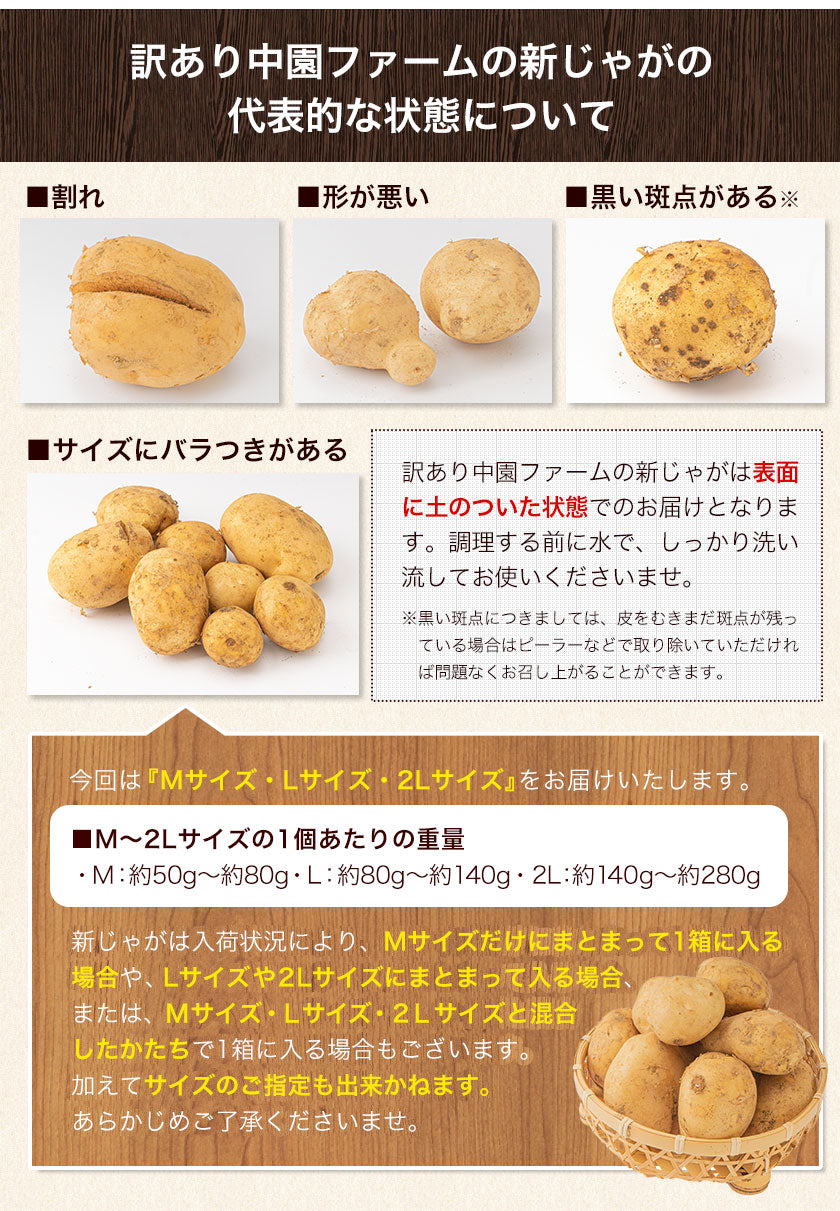中園ファームのじゃがいも 新じゃが (馬鈴薯) 訳あり 4.5kg (M～2Lサイズ混合)