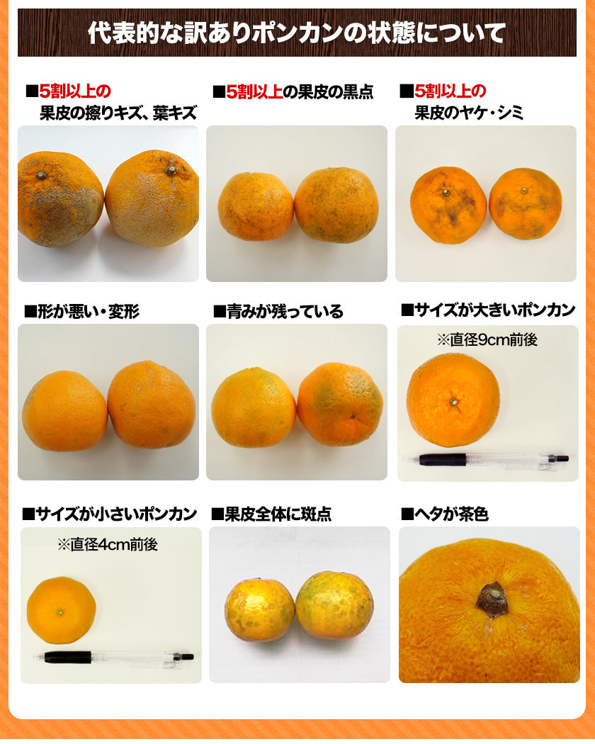 訳あり 甘熟 ポンカン 4kg