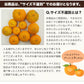 訳あり 甘熟 ポンカン 4kg