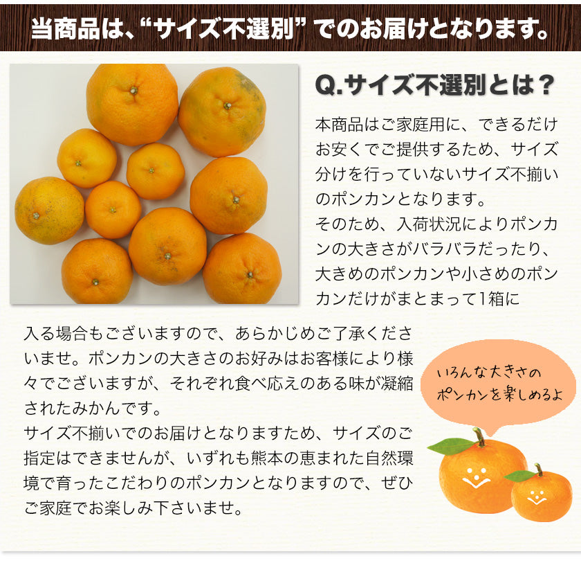 訳あり 甘熟 ポンカン 4kg