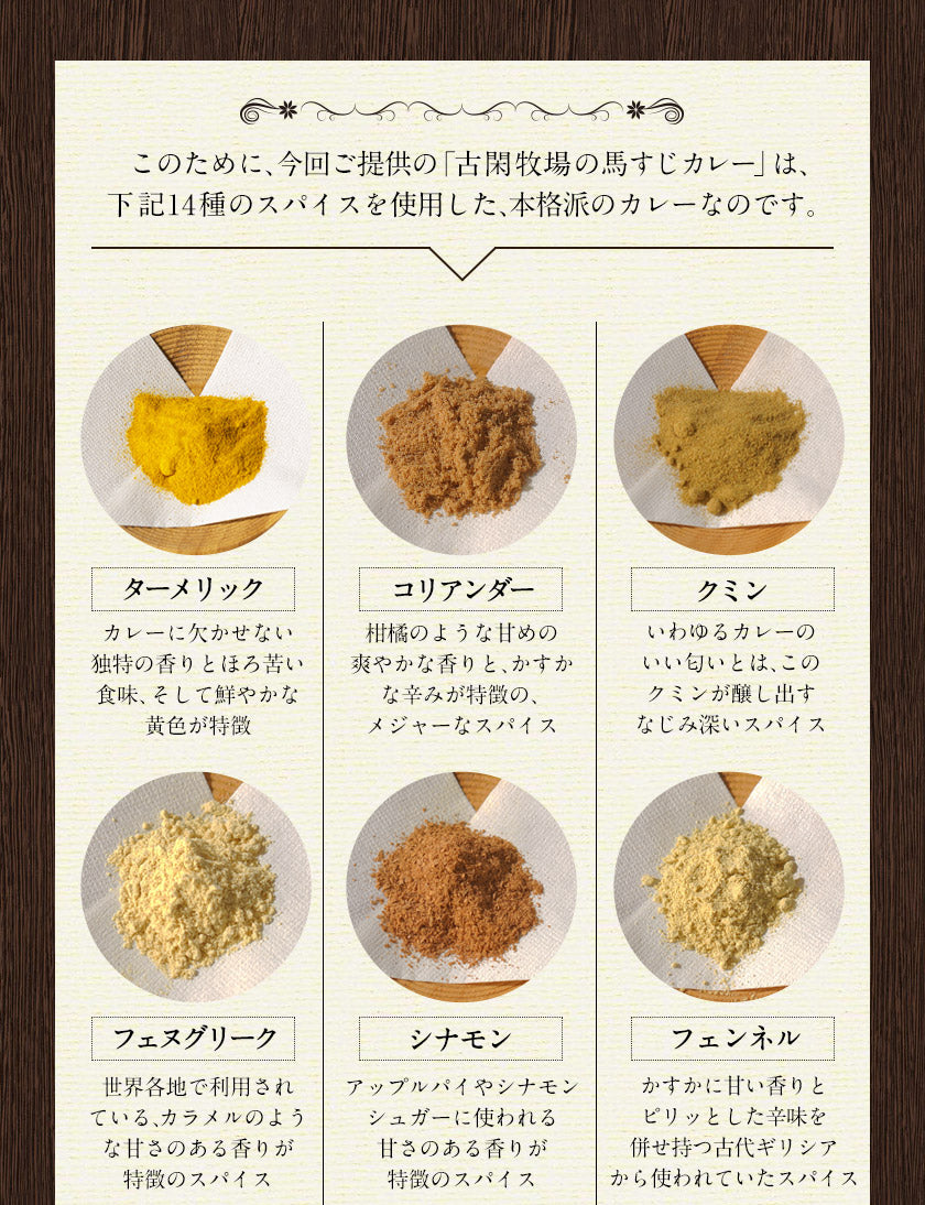 【肉の旨味を味わう！お肉の比率約50％！】古閑牧場の馬すじカレー 200g×2袋