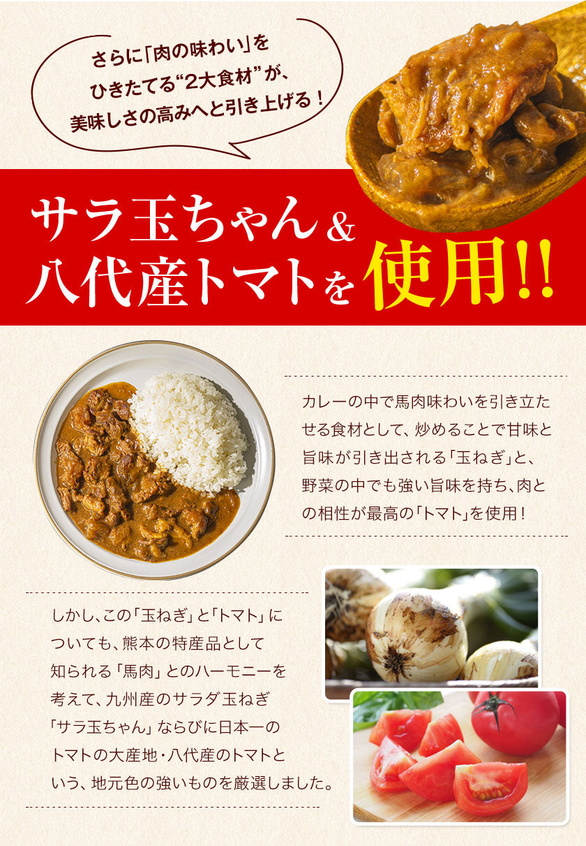 【肉の旨味を味わう！お肉の比率約50％！】古閑牧場の馬すじカレー 200g×2袋