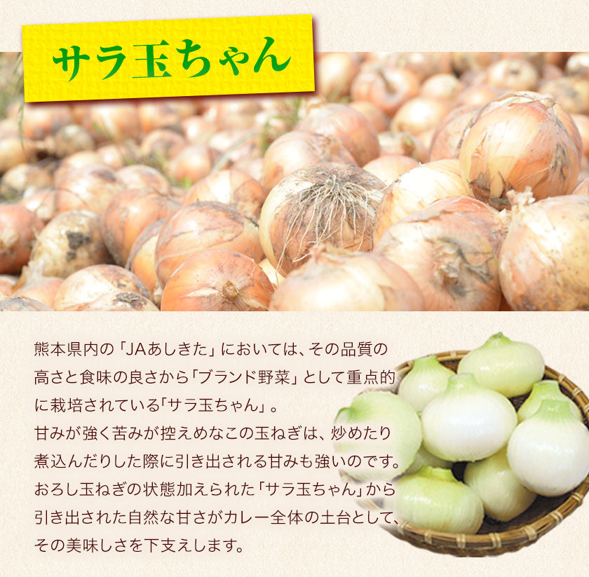 【肉の旨味を味わう！お肉の比率約50％！】古閑牧場の馬すじカレー 200g×2袋