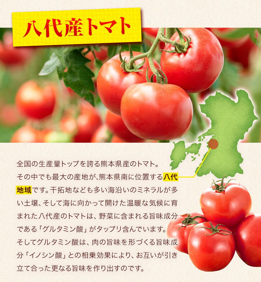 【肉の旨味を味わう！お肉の比率約50％！】古閑牧場の馬すじカレー 200g×2袋