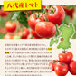 【肉の旨味を味わう！お肉の比率約50％！】古閑牧場の馬すじカレー 200g×2袋 レトルト食品 惣菜 パック インスタント 馬肉 お取り寄せ ご自宅用 送料無料