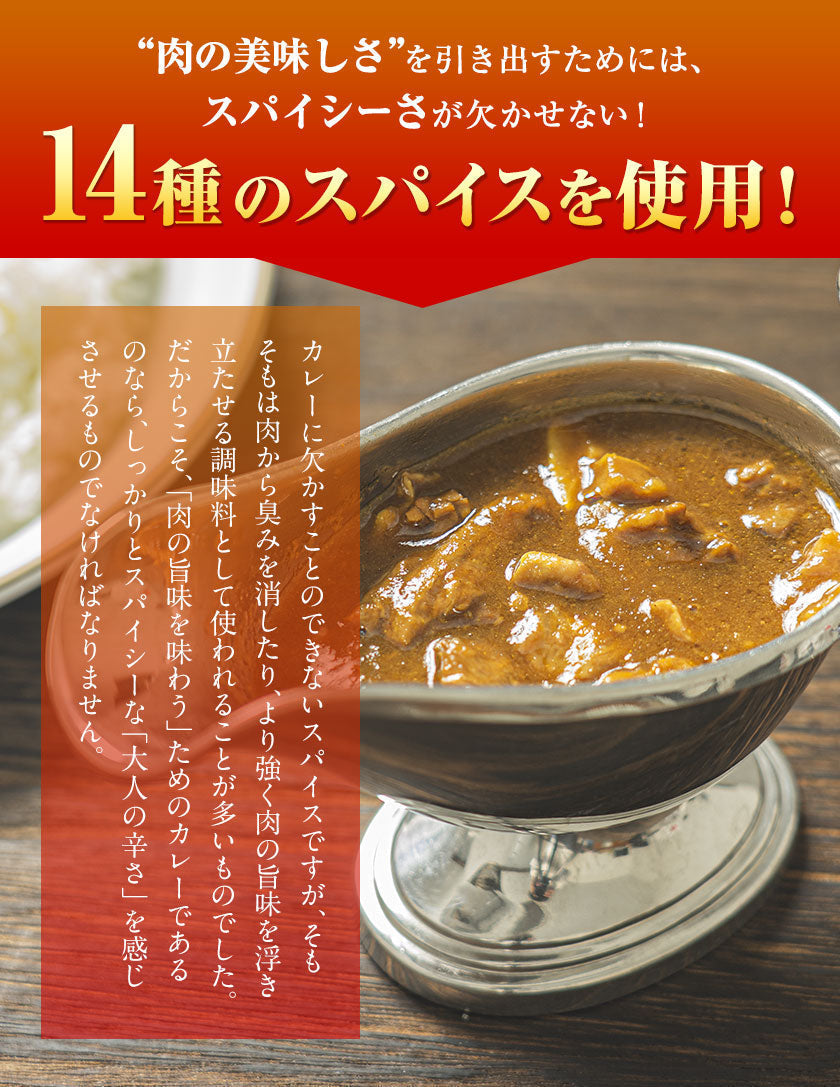 【肉の旨味を味わう！お肉の比率約50％！】古閑牧場の馬すじカレー 200g×2袋 レトルト食品 惣菜 パック インスタント 馬肉 お取り寄せ ご自宅用 送料無料