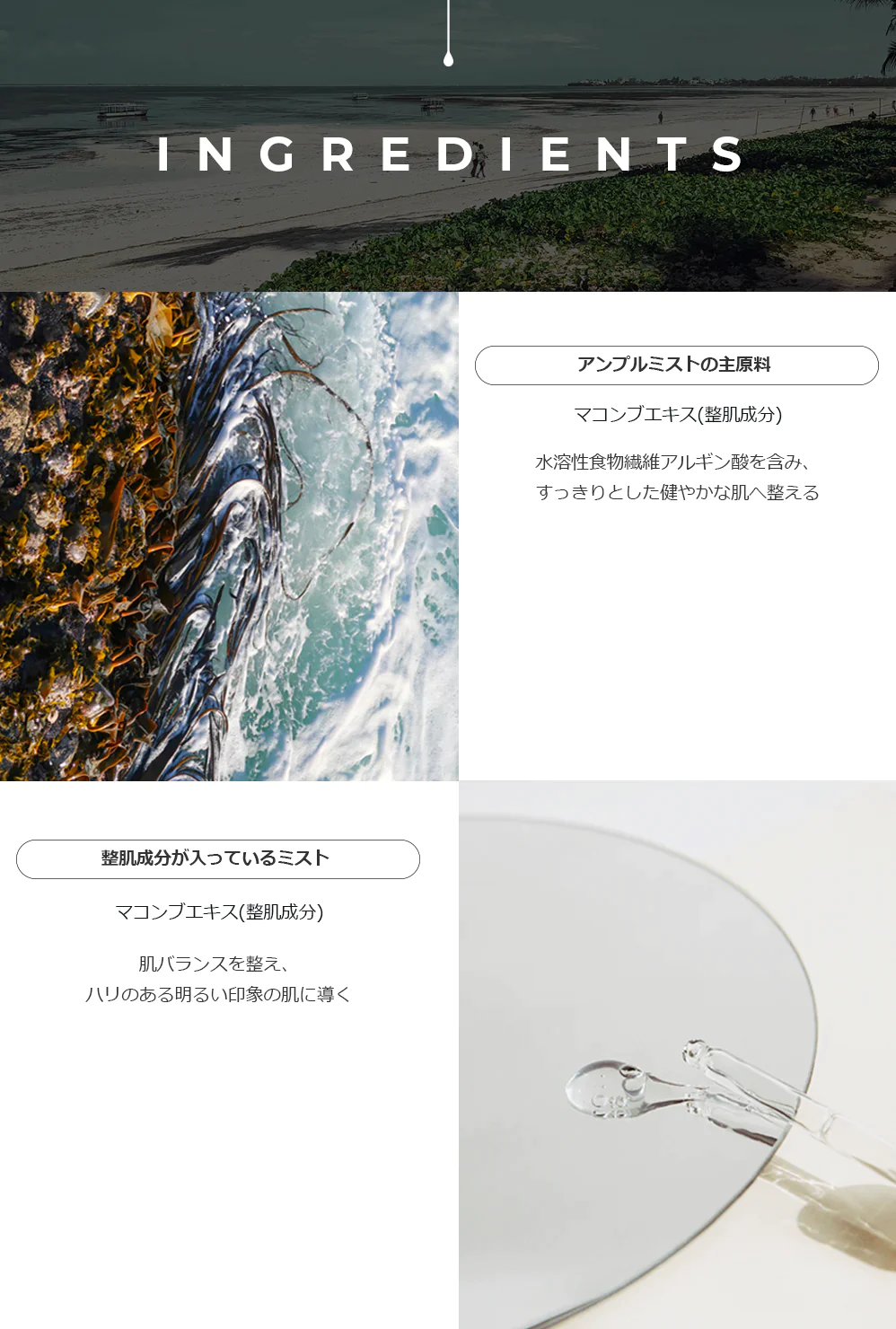 【デラボーン】ブースティング美容液ミスト（海草ミスト、シーウィードミスト）鎮静 保湿 乾燥 うるおい 韓国コスメ 美白 韓国 スキンケア 化粧品 ビューティー 敏感肌 乾燥肌 コスメ 無料配送 マコンブ ひじきエキス 美容液 スプレー メイク 化粧水 dellaborn