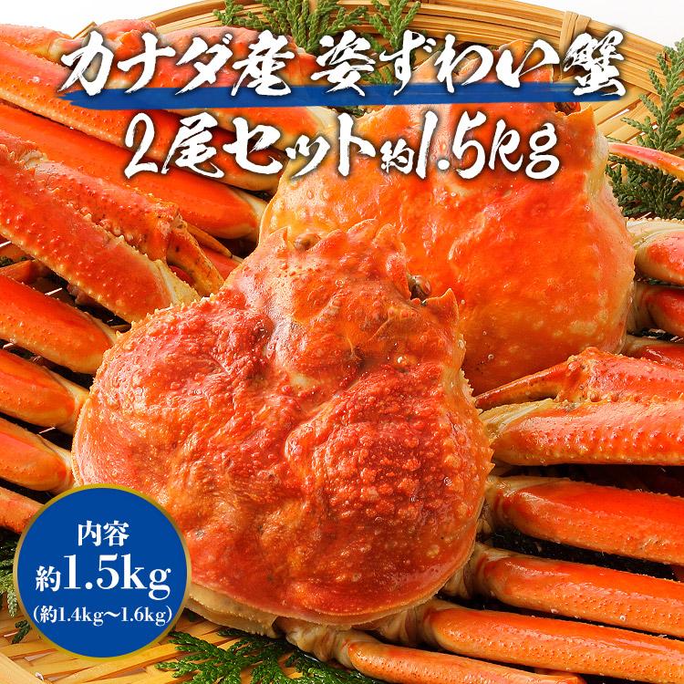 【48時間タイムセール】かに 蟹 カニ 高級カナダ産 特大 ボイル済み 姿ずわい蟹2尾セット約1.4kg 送料無料 お取り寄せグルメ 食品 ギフト 海鮮