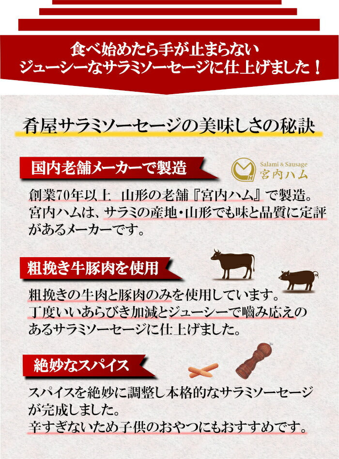おつまみ 訳あり サラミ ソーセージ 220g 無選別 粗挽き 大容量 酒の肴 宮内ハム 山形 グルメ サラミ 業務用 本格 国産 お徳用 1000円ポッキリ サラミソーセージ つまみ カルパス サラミ ドライソーセージ 常温 珍味 おやつ 買い回り 送料無料
