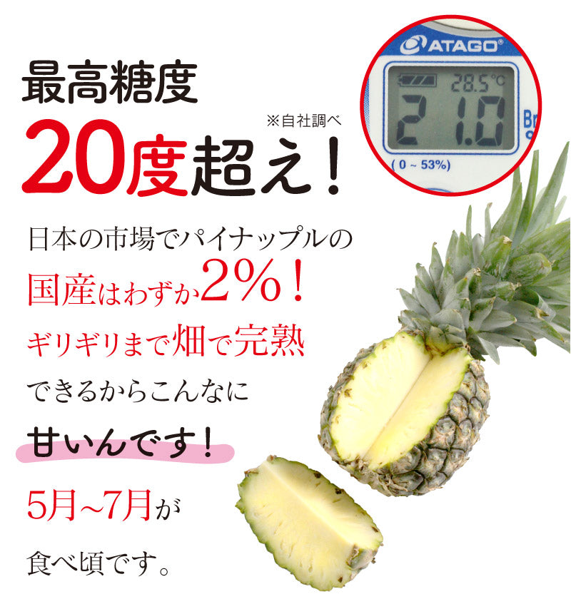 ピーチパイン