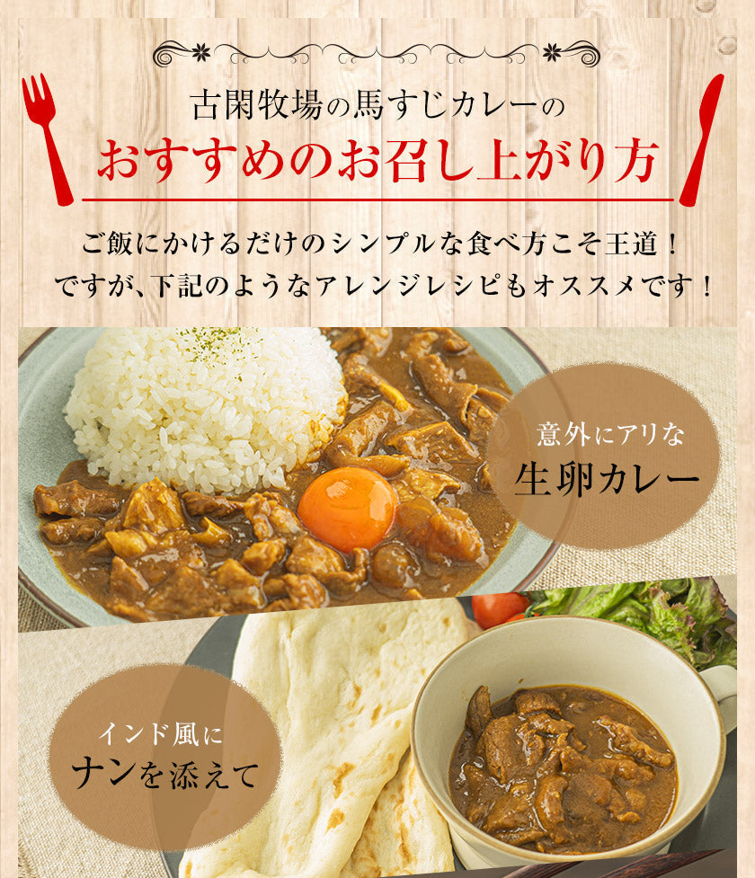 【肉の旨味を味わう！お肉の比率約50％！】古閑牧場の馬すじカレー 200g×2袋 レトルト食品 惣菜 パック インスタント 馬肉 お取り寄せ ご自宅用 送料無料