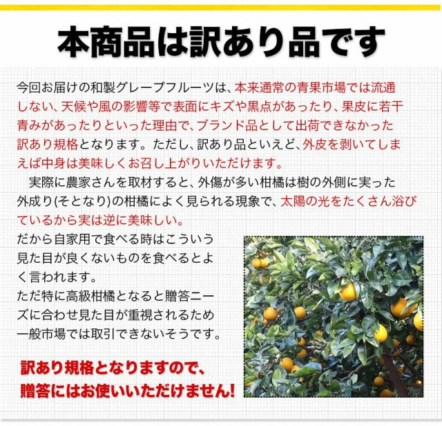 和製グレープフルーツ 河内晩柑 4kg グレープフルーツ 産地直送 河内 晩柑 熊本県産【エコ得】