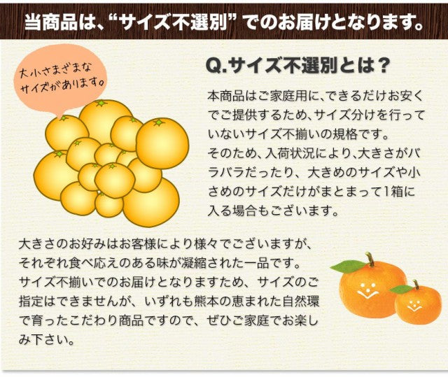和製グレープフルーツ 河内晩柑 4kg グレープフルーツ 産地直送 河内 晩柑 熊本県産【エコ得】