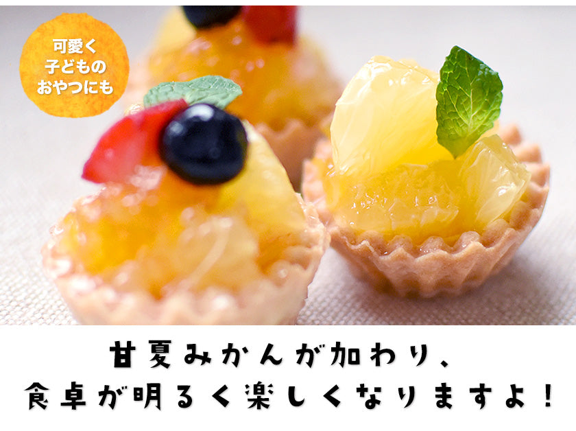 甘夏 みかん 1.5kg  送料無料 訳あり 熊本県産 名産地 旬のみかん