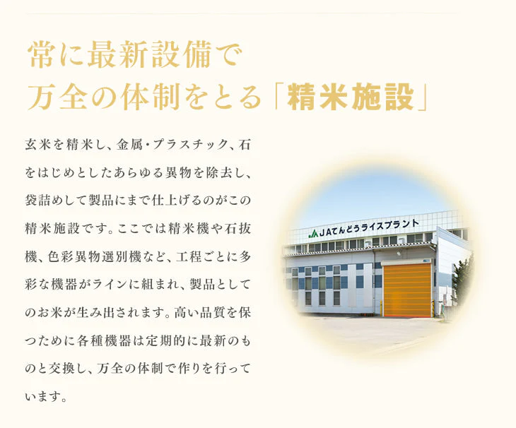 米 送料無料 10kg 令和4年産 山形県産 はえぬき精米 10kg(5kg×2) 送料無料※一部地域を除く【最安値に挑戦】【家計お助けSALE】