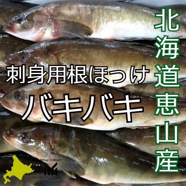 北海道恵山産 根ほっけ 3尾