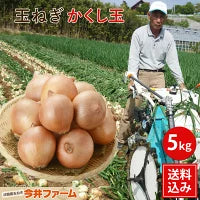 淡路島 たまねぎ かくし玉 5キロ