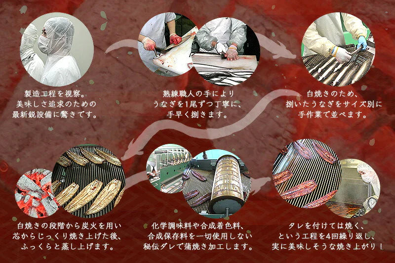 鰻 うなぎ 蒲焼き 国産 無頭 ウナギ 中サイズ 142g前後×3尾 国産うなぎ うなぎの蒲焼 蒲焼 冷凍うなぎ 冷凍 うなぎ蒲焼 国産鰻 鰻蒲焼 国産うなぎ蒲焼 旬の味覚 ウナギ蒲焼き 美味しいもの 記念日 お祝い 誕生日 贈り物