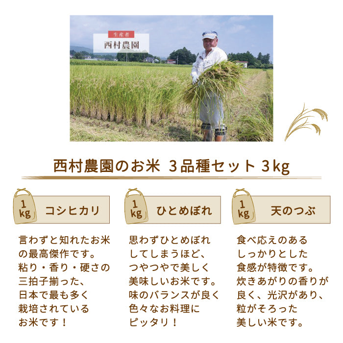 【3人シェア買いでお得】【令和4年産】【西村農園のお米】 3品種食べ比べセット3kg（コシヒカリ1kg、ひとめぼれ1kg、天のつぶ1kg） *