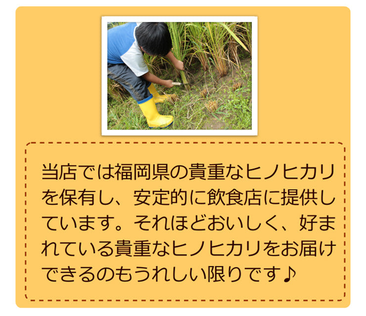米5kg 送料無料 九州 無洗米 福岡県産 ヒノヒカリ 米　無洗米 5kg 九州産 送料込み 令和3年産